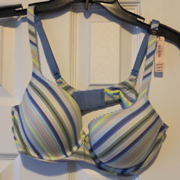 Striped Blue Multi-Color Bra - Picture 1 of 3
